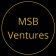 msb ventures (2)